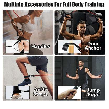 Push up board color-coded muscle targeting system